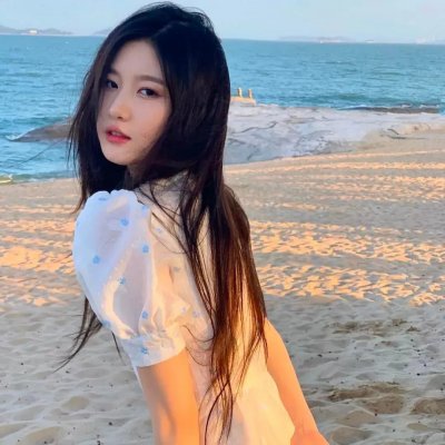 阿妮塔与加里波第